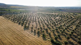 Terreno en venta en Borges Blanques, Les