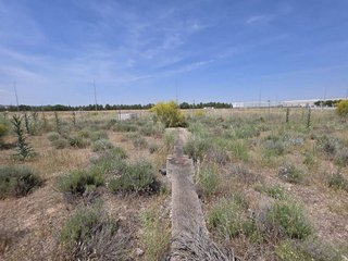 Terreno en venta en Santa Cruz - Industria - Polígono Campollano en Albacete
