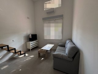 Estudio en alquiler en Haygon - Universidad en San Vicente del Raspeig/Sant Vicent del Raspeig