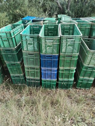 Cajas apilables de plástico para espárragos