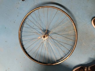 Llantas Campagnolo Omega Strada Hardox