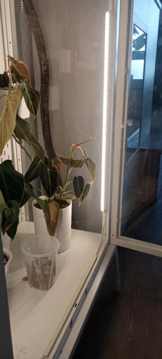 Invernadero Milsbo Ikea + Luces LED barrina T5