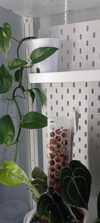 Invernadero Milsbo Ikea + Luces LED barrina T5
