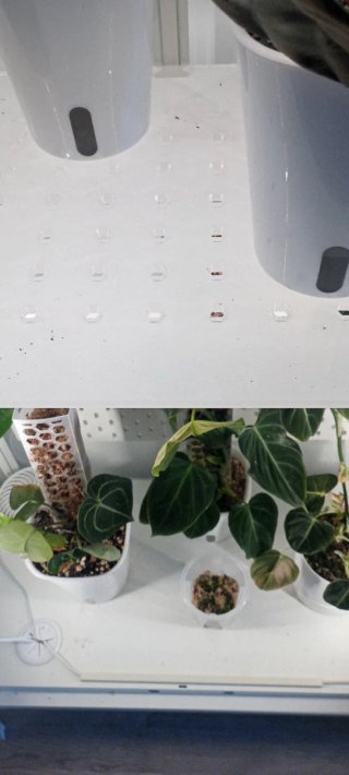 Invernadero Milsbo Ikea + Luces LED barrina T5