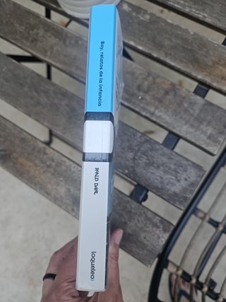 Libro “Boy, relatos de la infancia”
