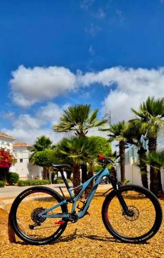 29"Mountain bike full suspensión carbon