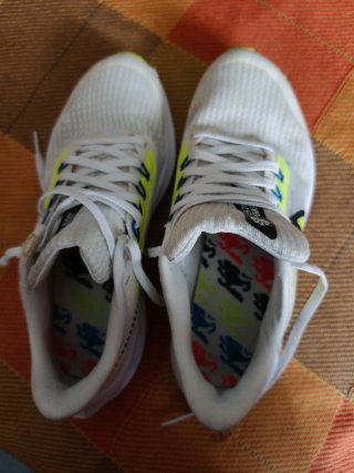 Nike Air Zoom Pegasus 39 Talla 36.5