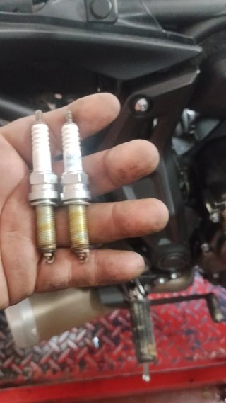 Mecánico de motos