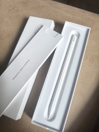 Apple Pencil USB-C Blanco