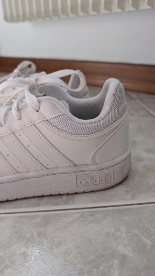 Sneakers Adidas Hoops