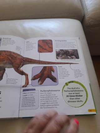 FINDOUT DINOSAURS. ENCUENTRA DINOSAURIOS EN INGLÉS