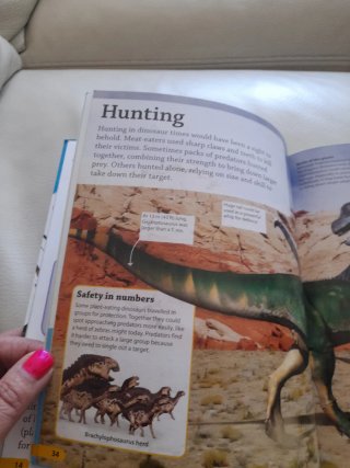 FINDOUT DINOSAURS. ENCUENTRA DINOSAURIOS EN INGLÉS