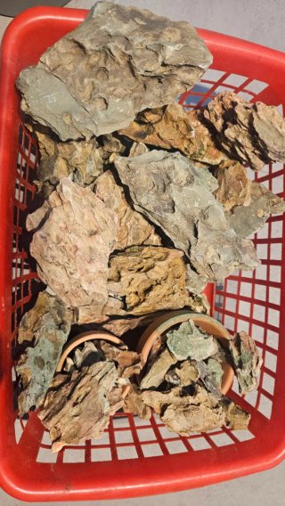 Roca Dragón para acuario