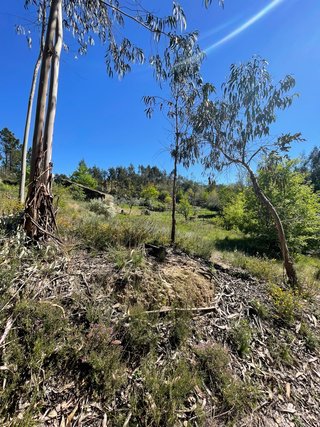 Terreno junto ao rio