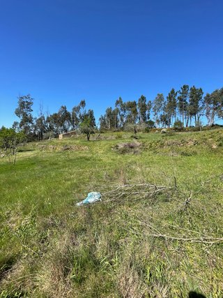 Terreno junto ao rio