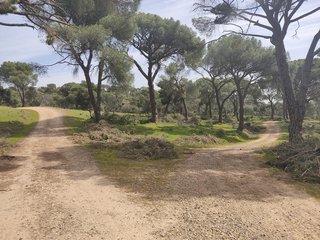 Terreno urbanizable Encinar Alberche