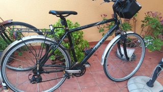 Bicicleta BH Windsor Paseo Talla Grande