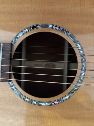 Guitarra Acústica Tasman TA100 con Funda
