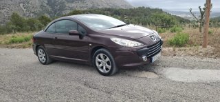 Peugeot 307 descapotable marron