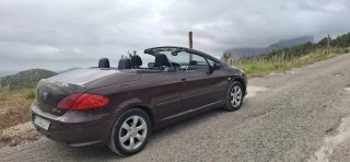 Peugeot 307 descapotable marron