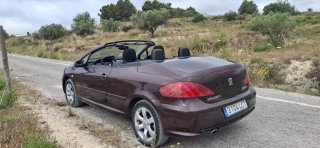Peugeot 307 descapotable marron