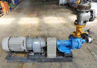 Bomba Engranajes VIKING PUMP