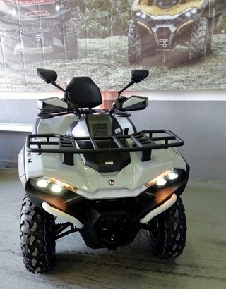 HISUN GUARDIAN 450L ATV EPS