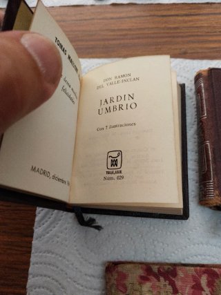 5 Mini libros,antiguos