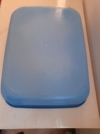 Vaschetta lettiera gatto azzurra 42 x 31  cm