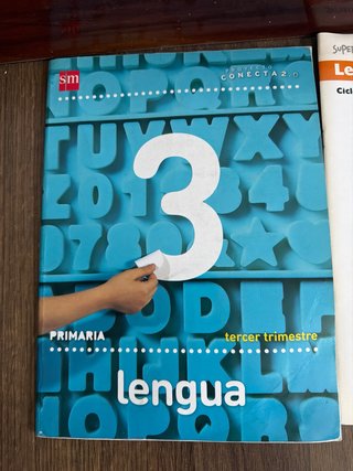 Libros de 2 y 3 de primaria