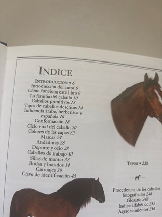 Manual de Identificación: Caballos (Ediciones Omeg