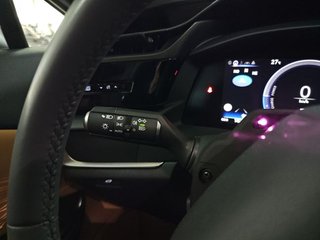 Lexus RZ 300e Executive