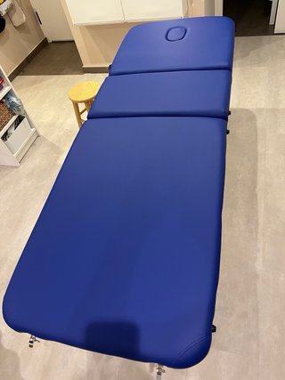 Camilla Plegable Aluminio 3 Cuerpos 197x70cm Azul