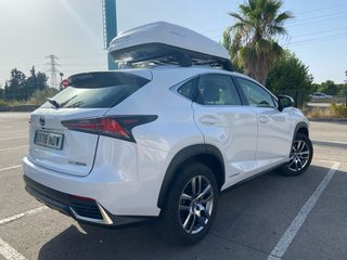 Lexus NX 2019