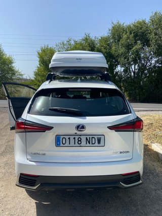 Lexus NX 2019