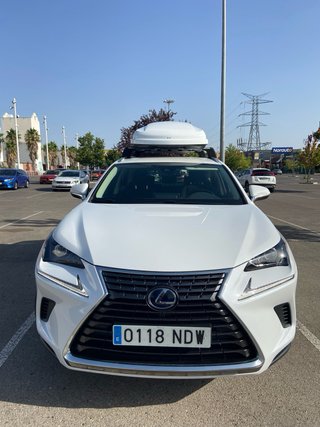 Lexus NX 2019