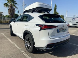 Lexus NX 2019