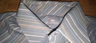 Camisa Lacoste Rayas Azul y Blanco