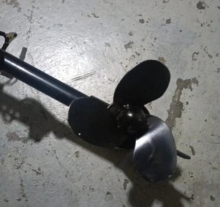 Motore fuoribordo elettrico Servor 12V