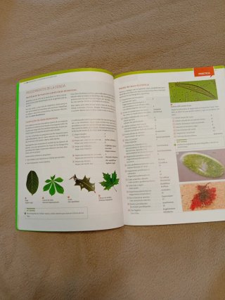 Biología y geología ciencias : bachillerato 1