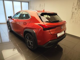 Lexus UX250H BUSINESS 2022 REF 9862