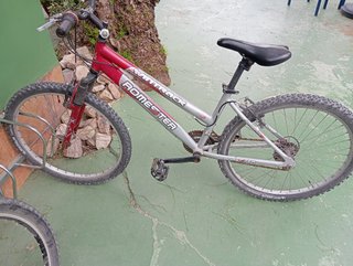 Bicicleta de Montaña Wittrack Romester