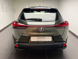 Lexus UX250H BUSINESS 2022 REF 5969
