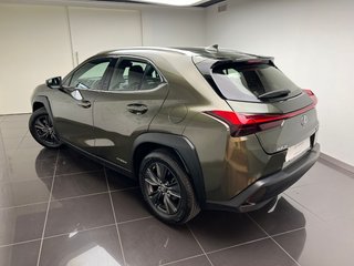 Lexus UX250H BUSINESS 2022 REF 5969