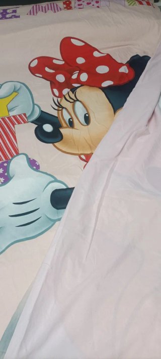 Funda nórdica Minnie Mouse Cama 90, 9€!!