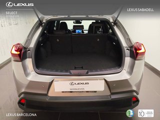 Lexus UX250H BUSINESS CITY 2023 REF 2125