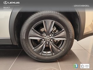 Lexus UX250H BUSINESS CITY 2023 REF 2125