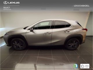 Lexus UX250H BUSINESS CITY 2023 REF 2125