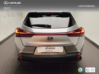Lexus UX250H BUSINESS CITY 2023 REF 2125