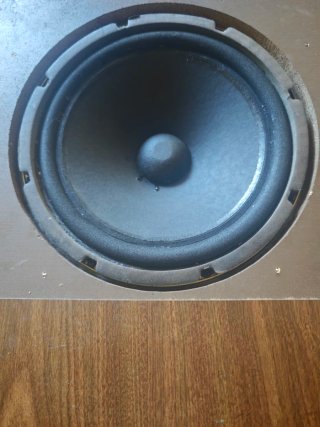 Altavoces Bose 501